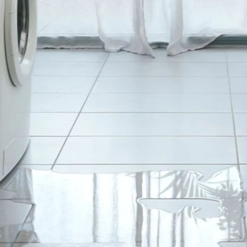 Appliance Leak Cleanup in Tunica County, MS