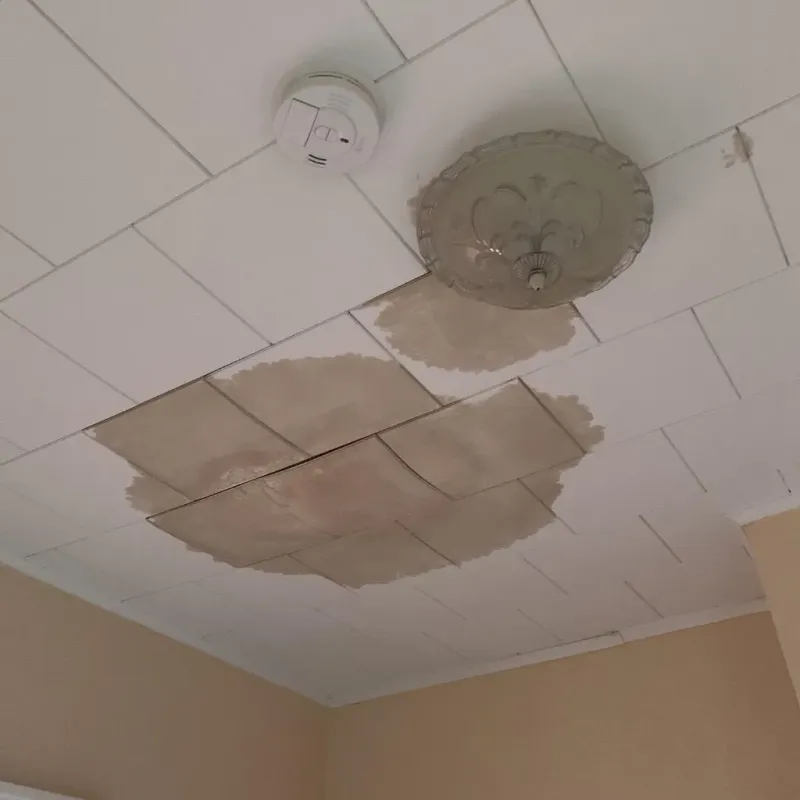 Ceiling Water Damage Repair in Tunica County, MS
